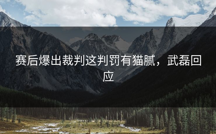 赛后爆出裁判这判罚有猫腻，武磊回应